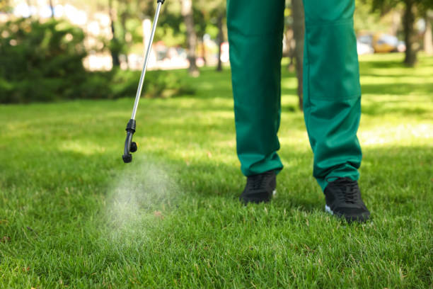 Best Wildlife Control Services  in Mathews, VA