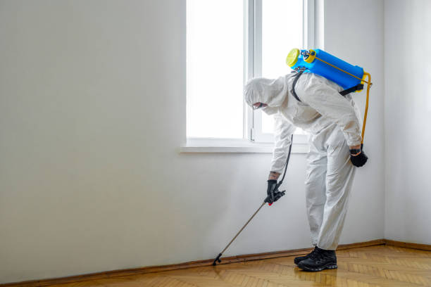 Best Termite Control Services  in Mathews, VA