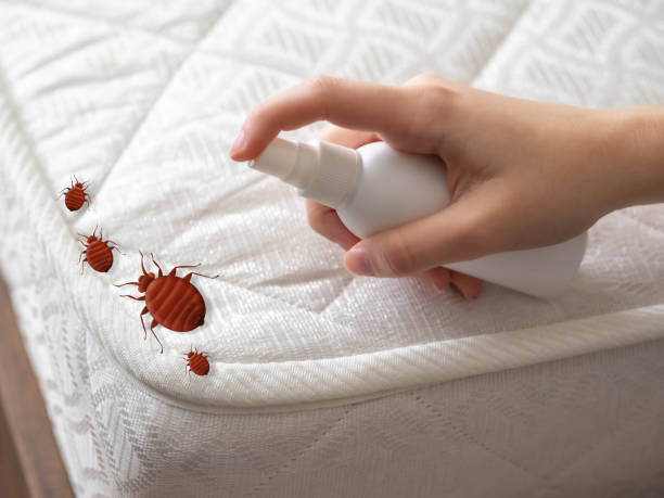 Best Affordable Pest Control Services  in Mathews, VA