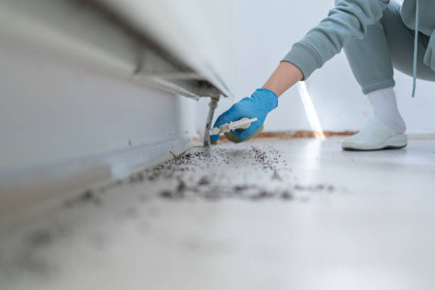 Best Pest Control for Homes  in Mathews, VA